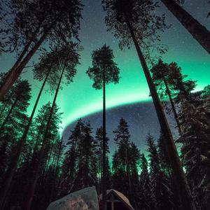 11一12学生免费毛片
